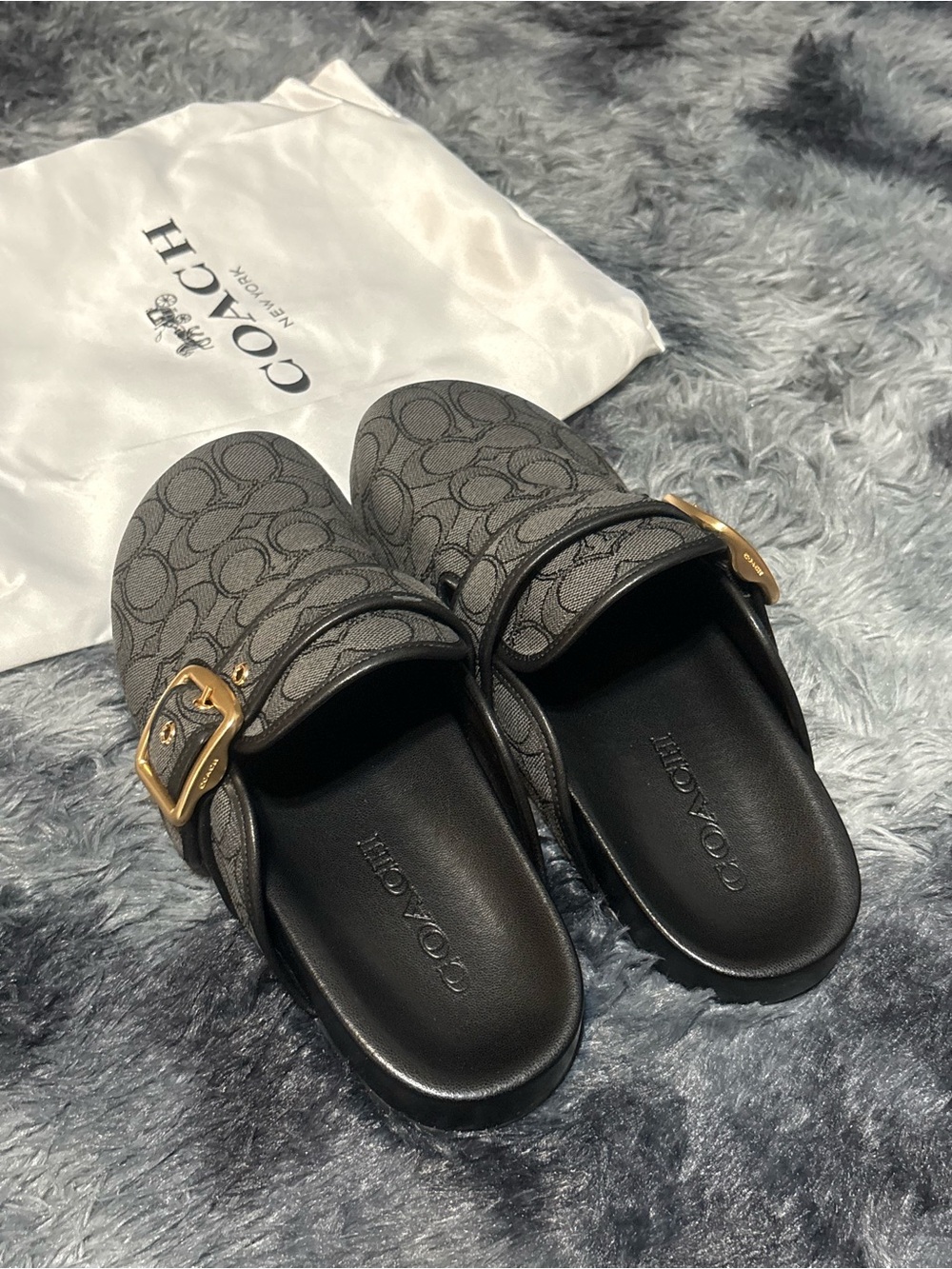 Archival Buckle Clog